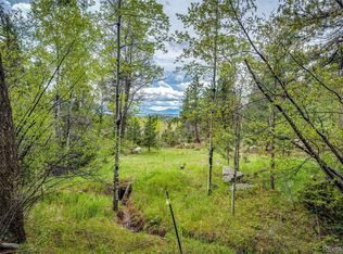 12346 Bear Haven Rd, Conifer, CO 80433