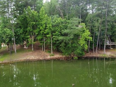 0 County Road 3102, Double Springs, AL, 35553