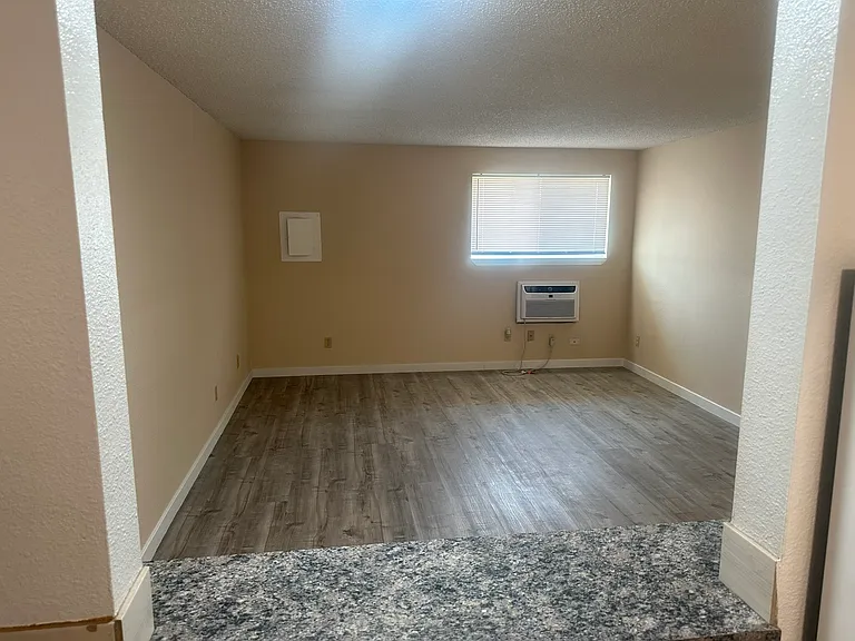 1520 W Clark St #D — Photo 6