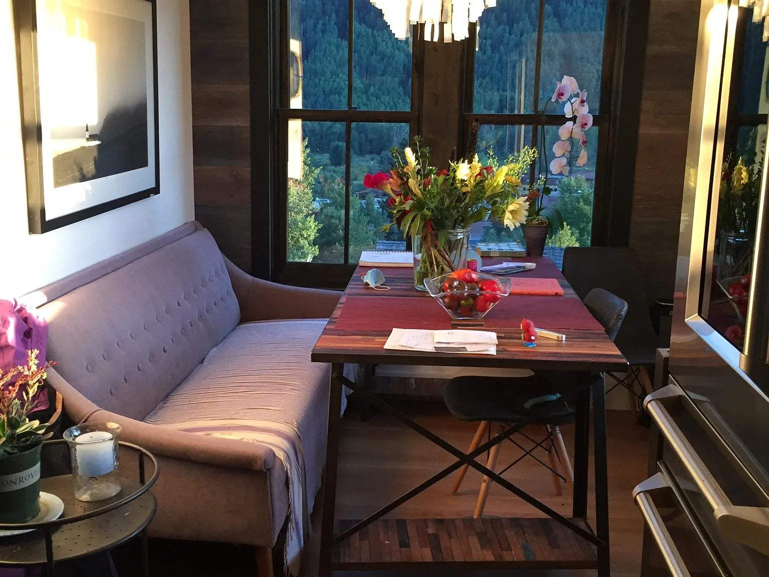N Willow St, Telluride — Photo 4