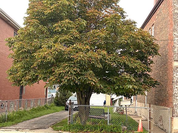 4th image of 2842-46 S Quinn St