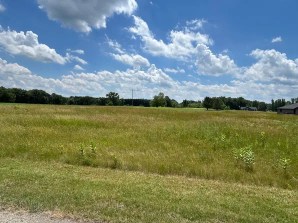 649 Blackberry Dr Lot 1, Coldwater, MI 49036