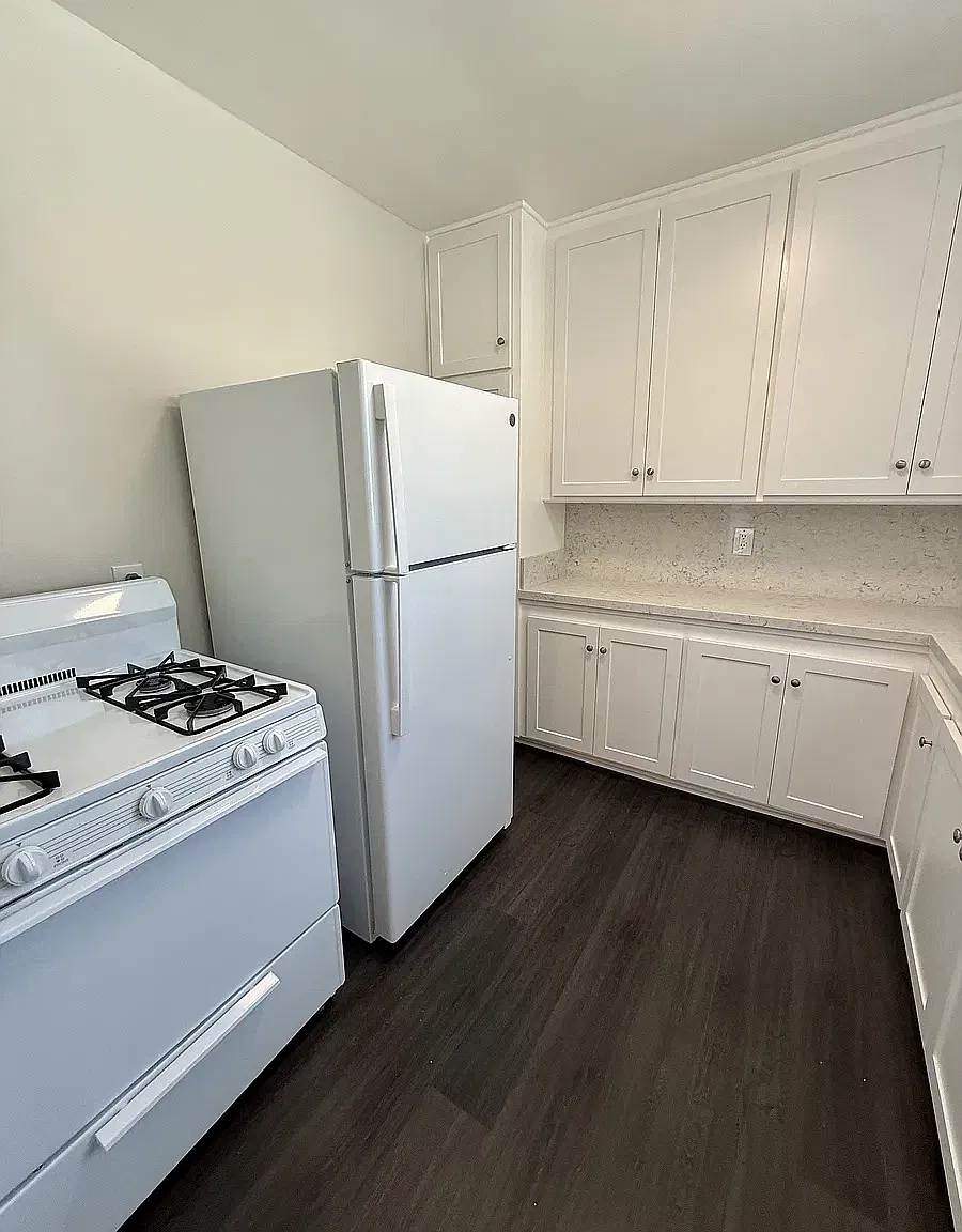 1045 E Carson St — Photo 4