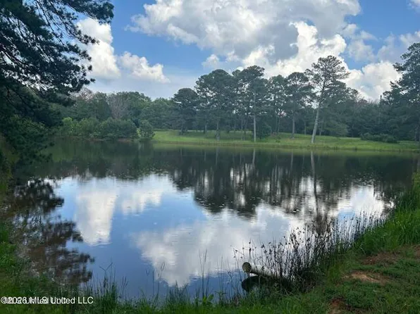 229 Twelve Oaks Trce, Canton, MS 39046