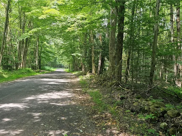 (undisclosed Address), Camden, NY 13316