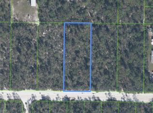 2020 Macintosh Ave, Sebring, FL 33875