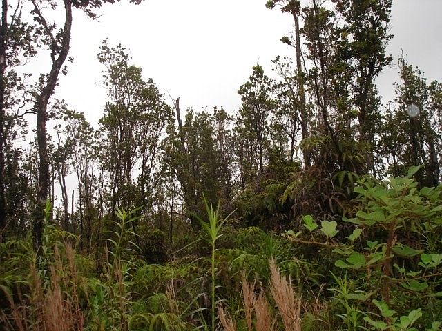 2nd image of LOT 15 Lot 15