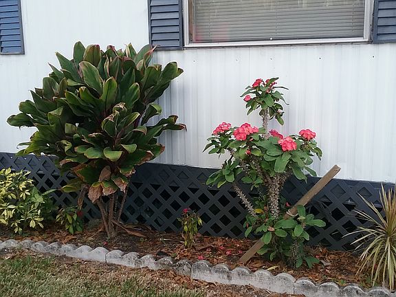 5th image of 3 Shady Grove Ln