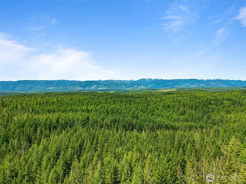 5th image of 905 NE Tahuya Blacksmith Road