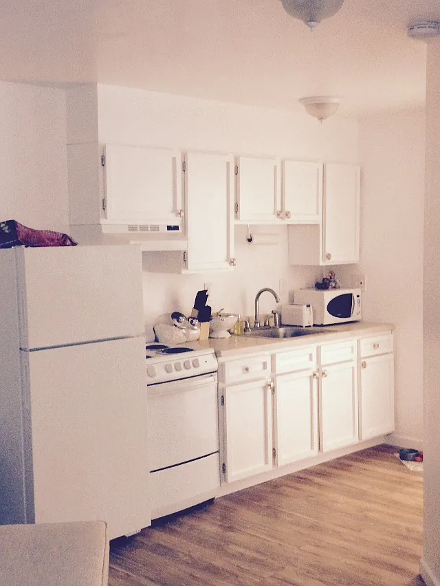 1 bed, 550 sqft, $1,295 — Photo 1