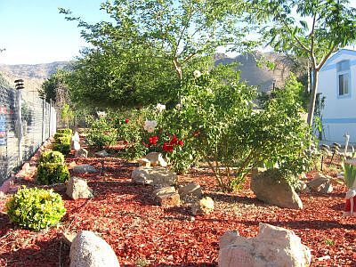 Landscaping