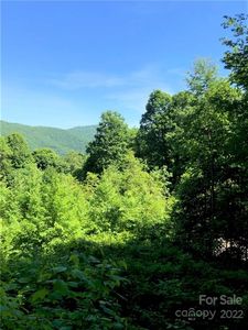 572 Slippery Rock Rd, Waynesville, NC, 28785