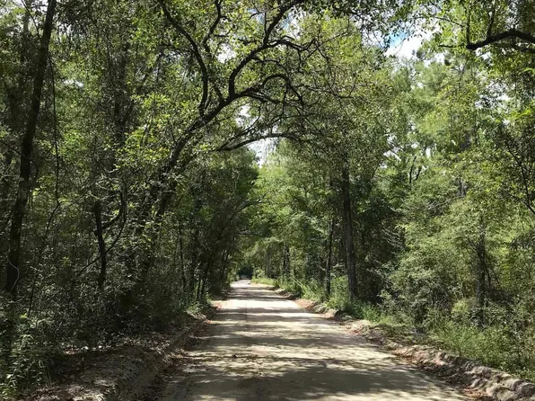 0 Andrew Spears Rd, Crawfordville, FL 32327