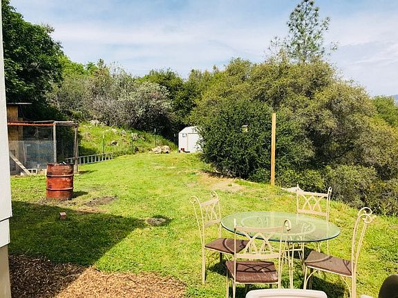 Shed and chicken coop