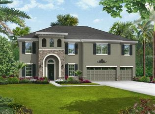 10637 Mistflower Ln, Tampa, FL 33647