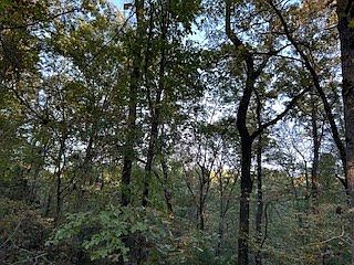4th image of 6 County Road 369