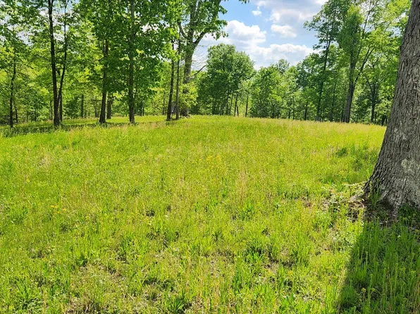 386 James Zimmerman Rd, Hampshire, TN 38461