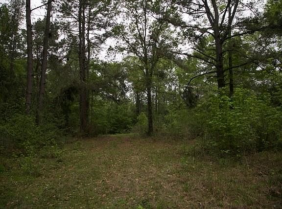 5th image of 258 Hearne Rd