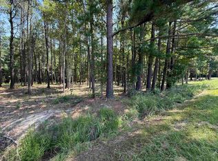 LOT 3 Highway 668, Conway, SC 29526