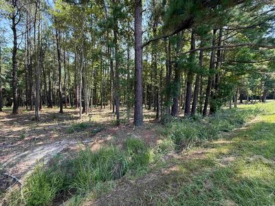 Lot 3 Highway 668, Conway, SC, 29526