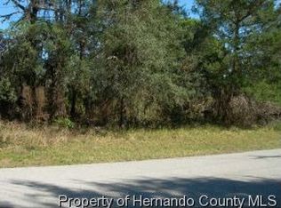 5390 Joyner Ave, Spring Hill, FL 34608