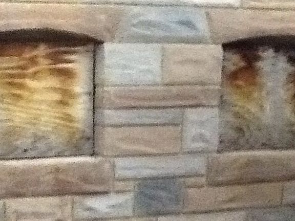 Front lower basement windows