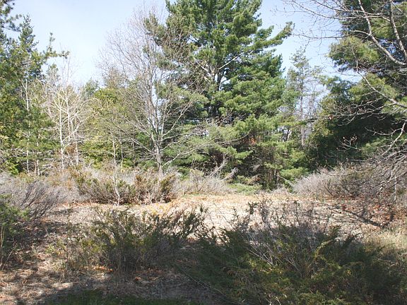 3rd image of N Us-23