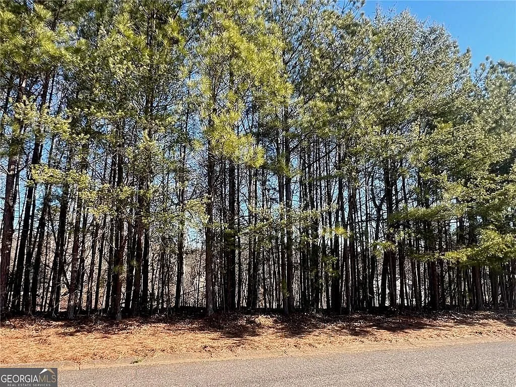 920 Whistler Ln Lot 68 photo 1