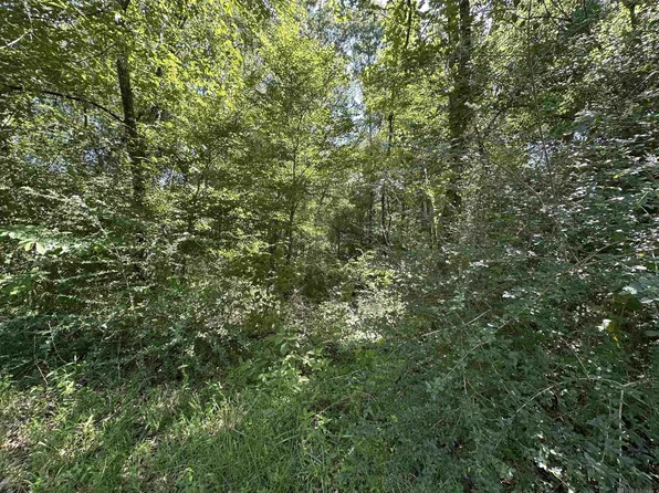 16051 Pride Port Hudson Rd, Pride, LA 70770