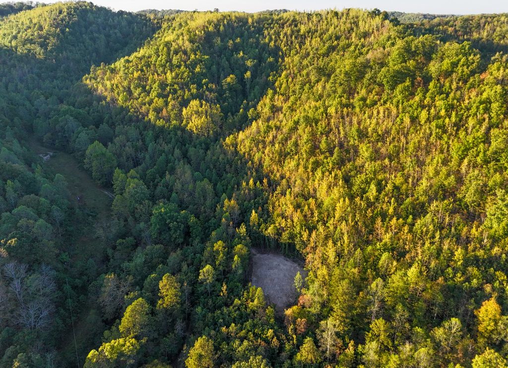Real estate listing image