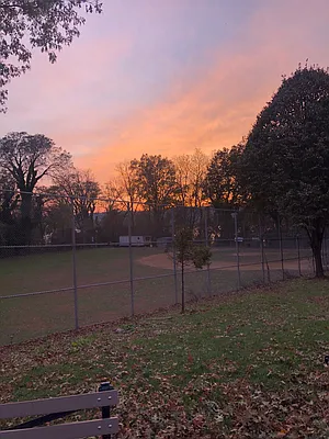 Rented by Corcoran | media 13