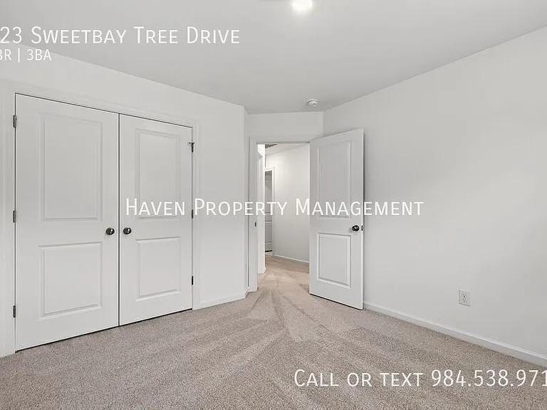 323 Sweetbay Tree Dr — Photo 26