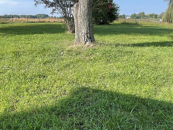 5th image of 5096 Battlefield Rd