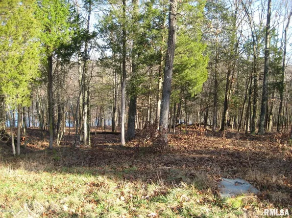 LOT 279 Rocky Poin, Goreville, IL 62939