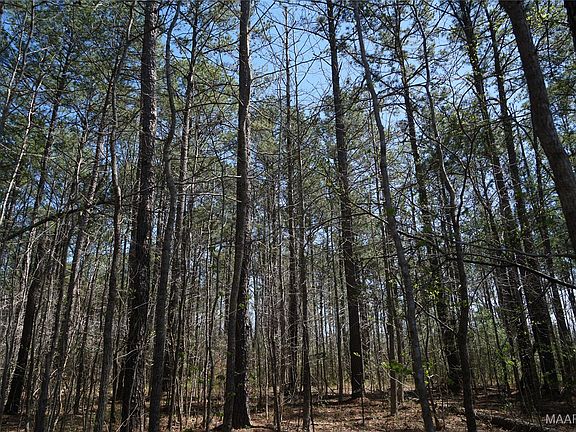 3rd image of 831 Old Barnes Rd