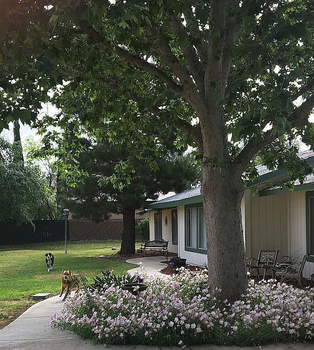 1st image of 12317 Cliff Ave