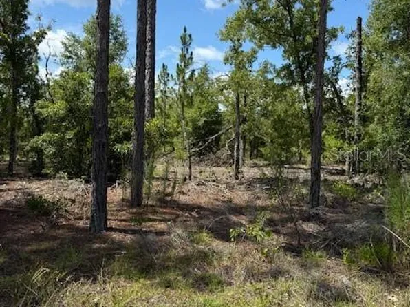 115 S Dakota St Lot 9, Hawthorne, FL 32640