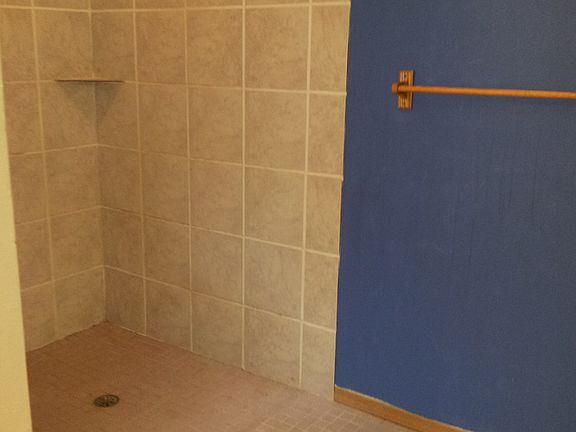 walk in shower in master