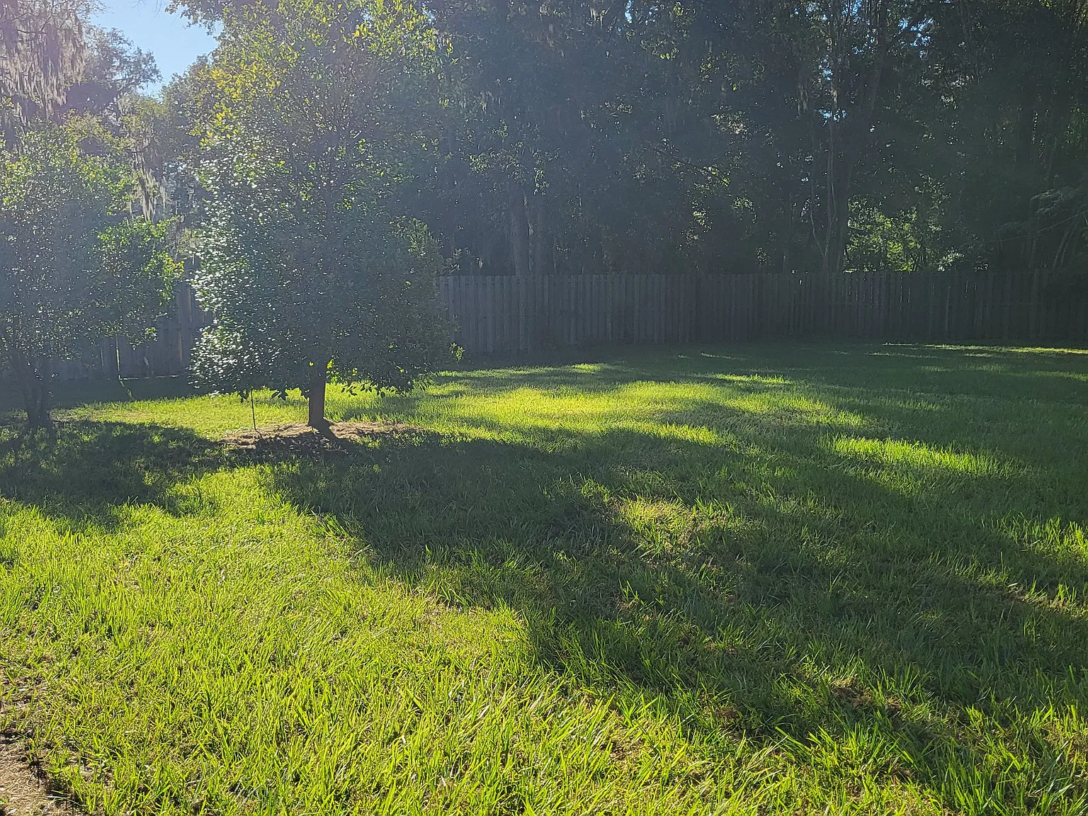 3 bed, 1421 sqft, $1,950 — Photo 3