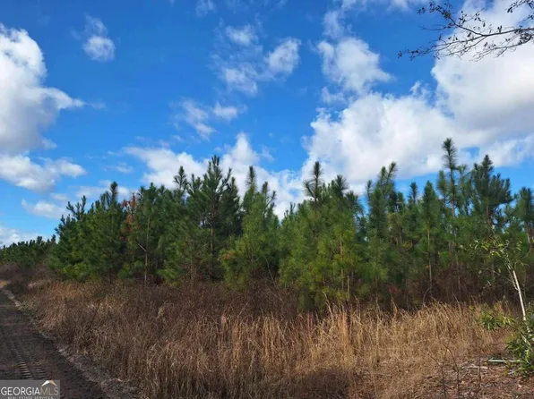 0 Doc Hunter Rd, Baxley, GA 31513