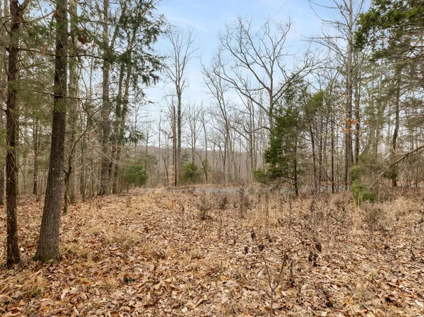 0 Griffintown Rd Lot 1, White Bluff, TN 37187