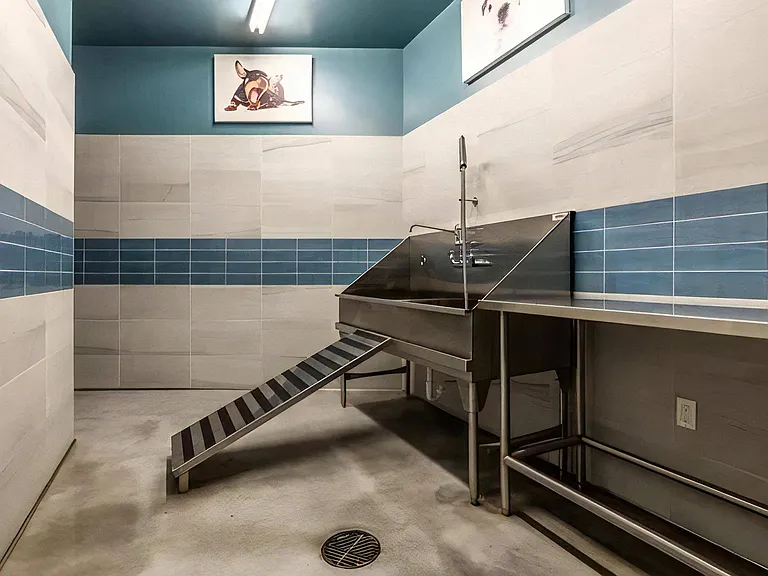 Pet Wash Station with Elevated Tub, Ramp, and Stainless Steel Counter