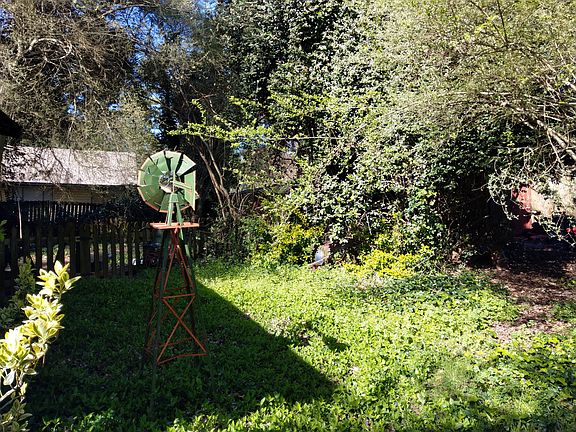 Back yard