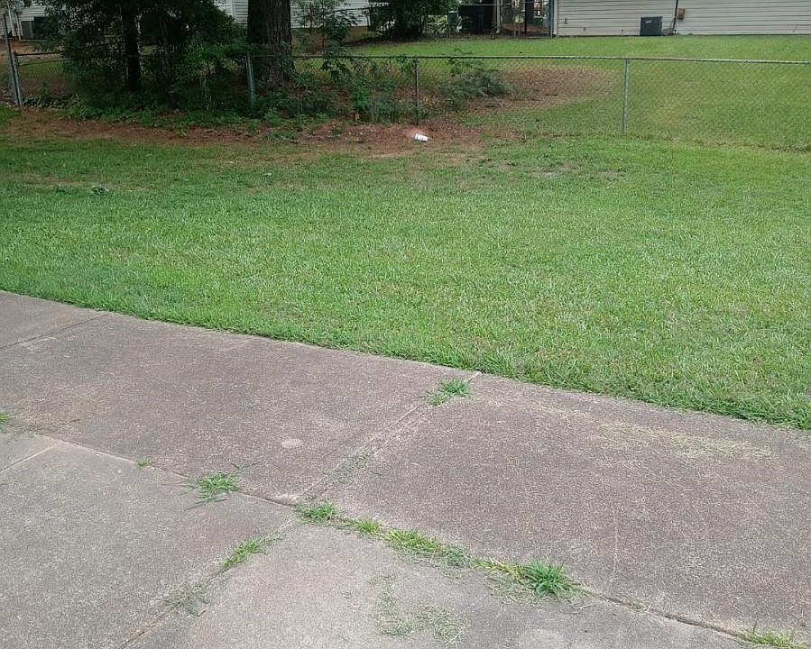 View of backyard