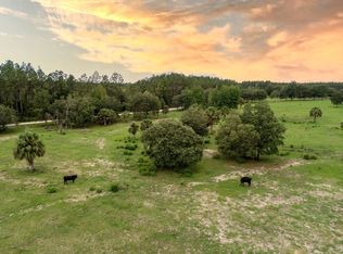 168 SW 320th Ave, Steinhatchee, FL 32359