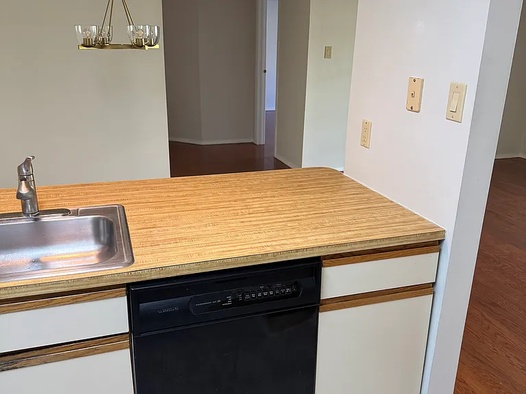 311 Society Pl — Photo 17