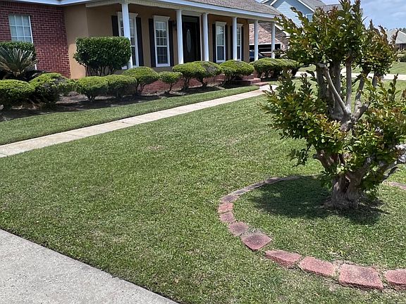 Freshly manicured lawn and yard