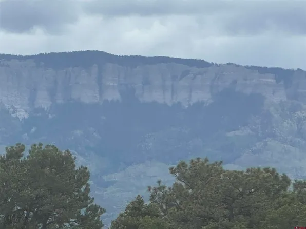 140 W Cedar Lane, Ridgway, CO 81432
