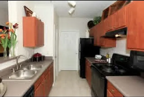 700 Vista Lake Dr #305 Photo 1 700 Vista Lake Dr #305 Photo 1