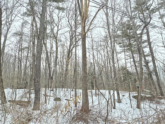 5th image of 8 Williams Road